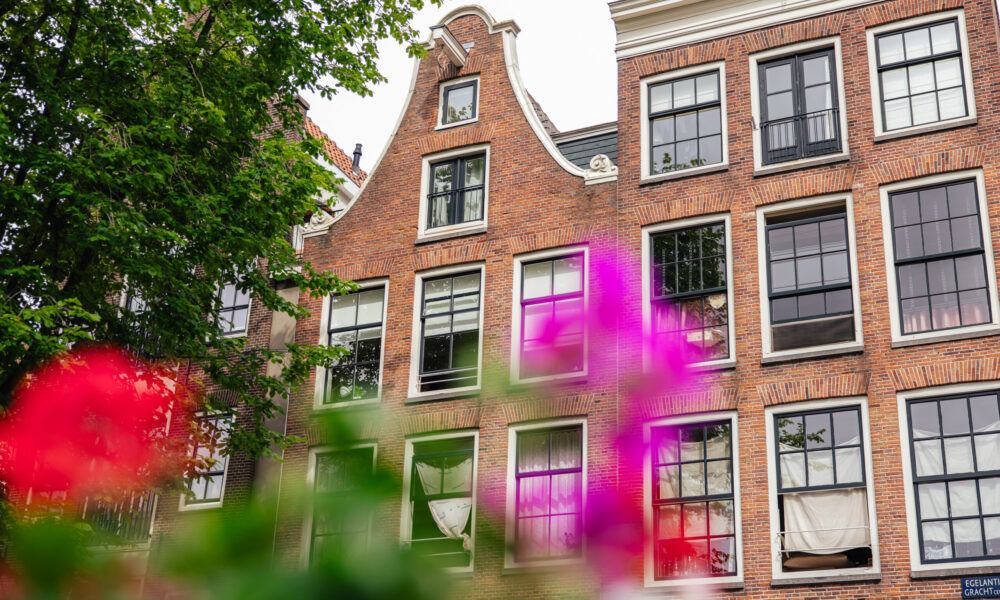 A historic Amsterdam house with a garden. Beautiful flowers in bloom.