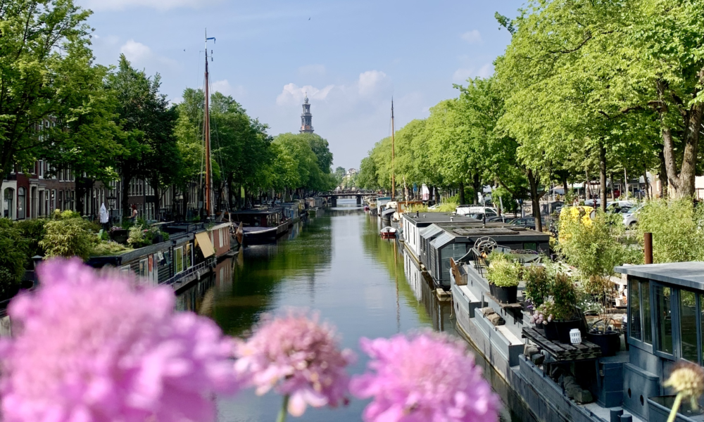 A serene canal in Amsterdam lined with trees and flowers. The calm water reflects the blue sky.