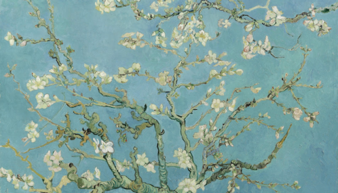 Mandelblüten Gemälde von Vincent Van Gogh